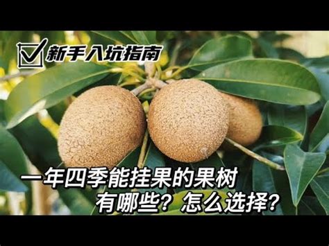 北部適合種的水果|北部適合種什麼水果？25種水果種植指南，新手也能輕。